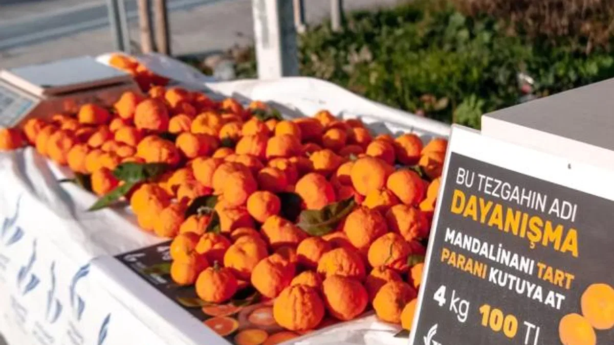 İzmir Güzelbahçe'de güven esaslı dayanışma... Tart ve parasını kutuya at!