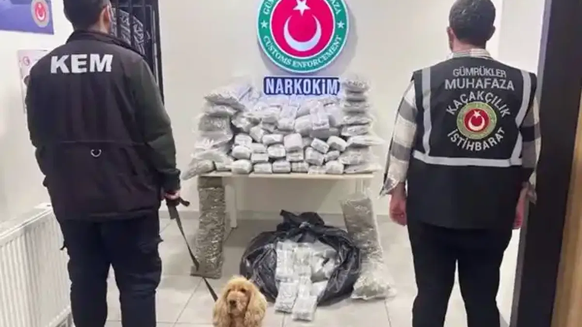 Zehir tacirlerine darbe! 659 kilo uyuşturucu ele geçirildi
