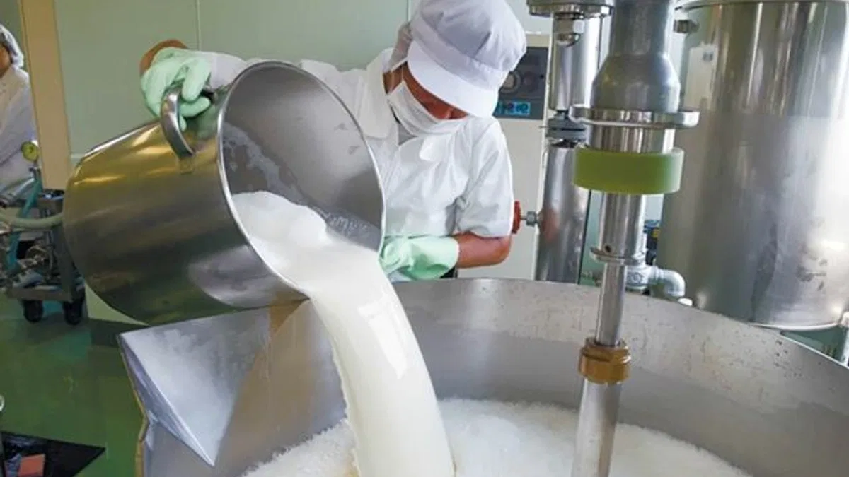 Çiğ süt üretimi 2025’te geriledi! Manda ve keçi sütü sert düştü!