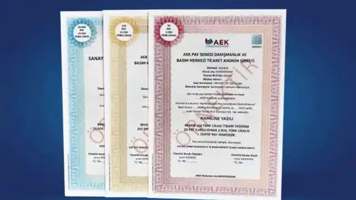 Yerli yatırımcı pay senedi varlıklarında artış