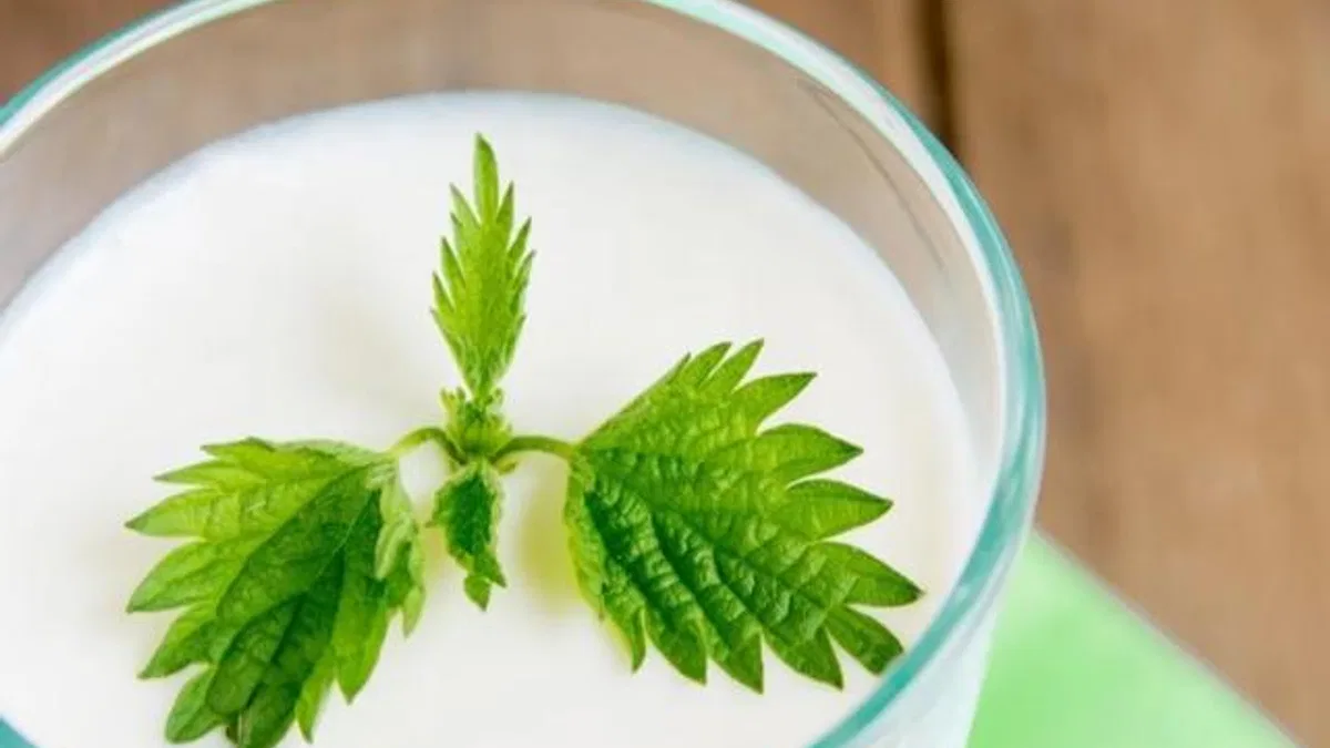 Ramazan’da susuz kalmayın... Süt ve ayran hidrasyonun gizli kahramanları