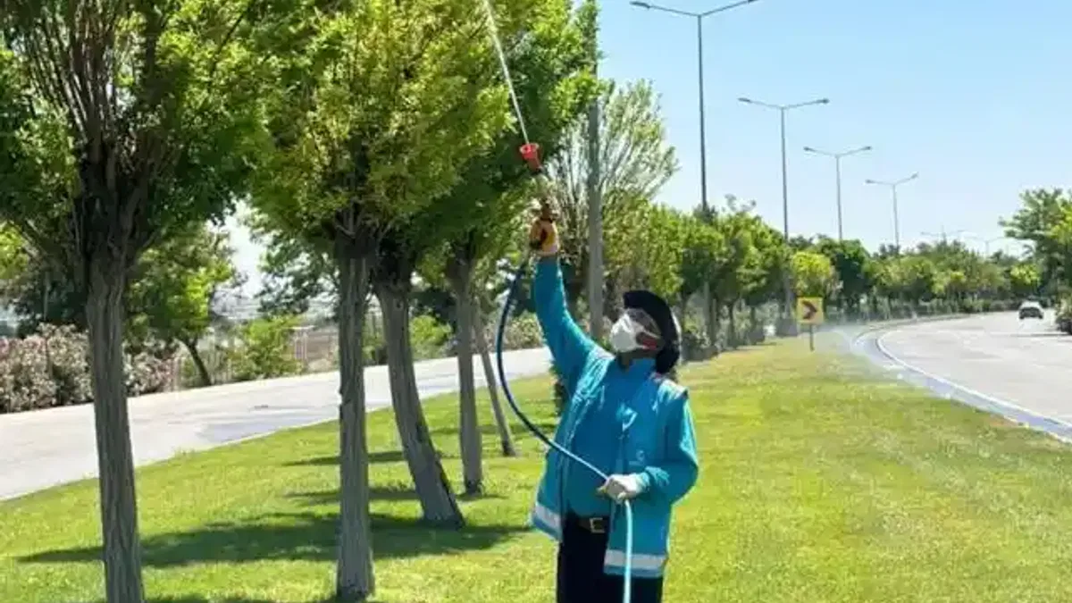 Gaziantep’te yoğun ilaçlama seferberliği