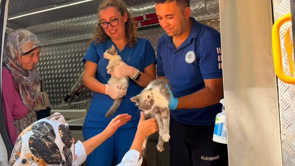 Muğla’da Yaraş yangınında can dostlara acil müdahale
