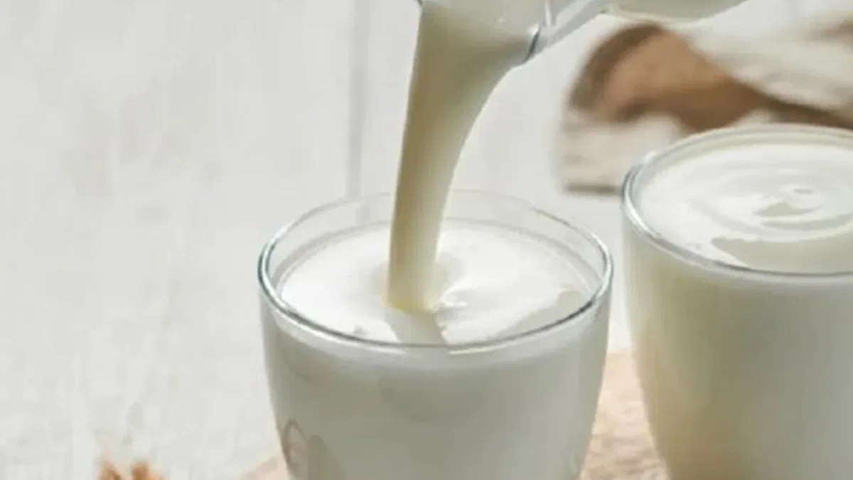 Aralık’ta 930 bin tonun üzerinde süt toplandı... Ayran, kefir ve yoğurt üretimi artışta