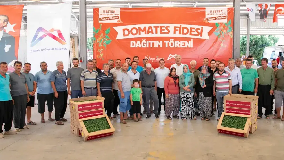 Mersin’de üreticiye domates fidesi desteği