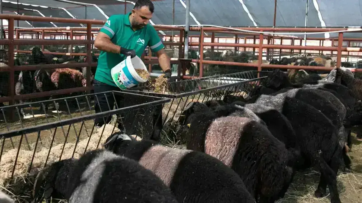 Mersin’de ‘Hadi Gel Köyümüze Destek Verelim’ projesi 7. yılında