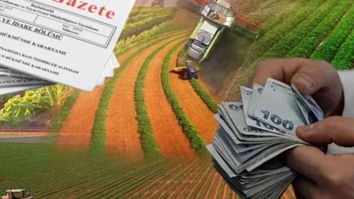 Hazine destekli kredilerde yeni dönem... Çiftçi ve esnafa kredi şartları yenilendi