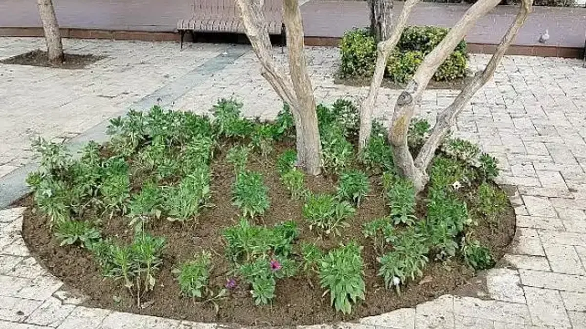 Büyükşehir'den Manisa'nın Yeşil Alanlarına Peyzaj Düzenlemesi