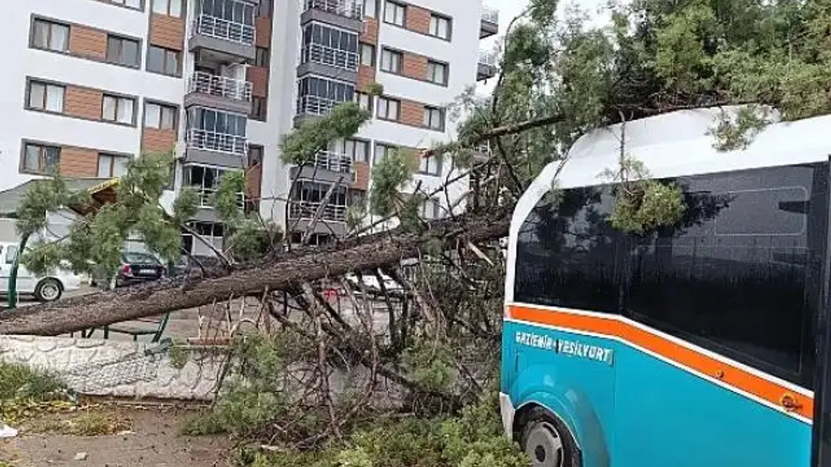 İzmir Büyükşehir Belediyesi 850 personel ve 640 araçla sahada