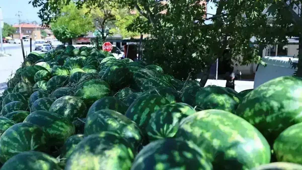 Denizli'de üreticinin imdadına Başkan Çavuşoğlu yetişti