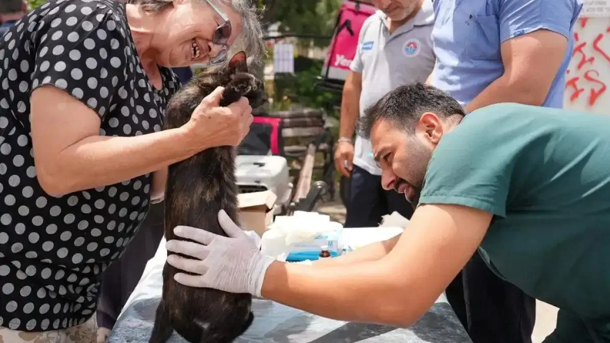 Maltepe'de sokak hayvanlarına yerinde sağlık desteği