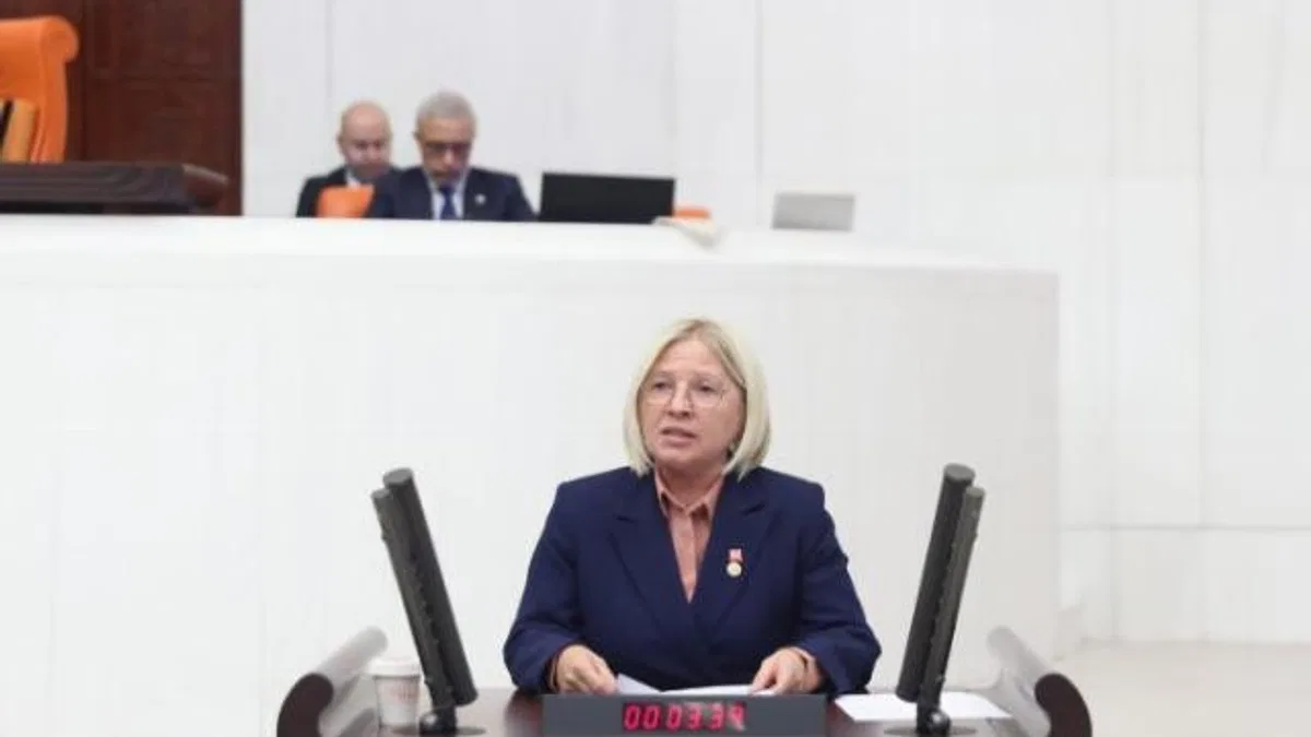 Nurten Yontar: "Ne kadını koruyabiliyorlar ne de aileyi"