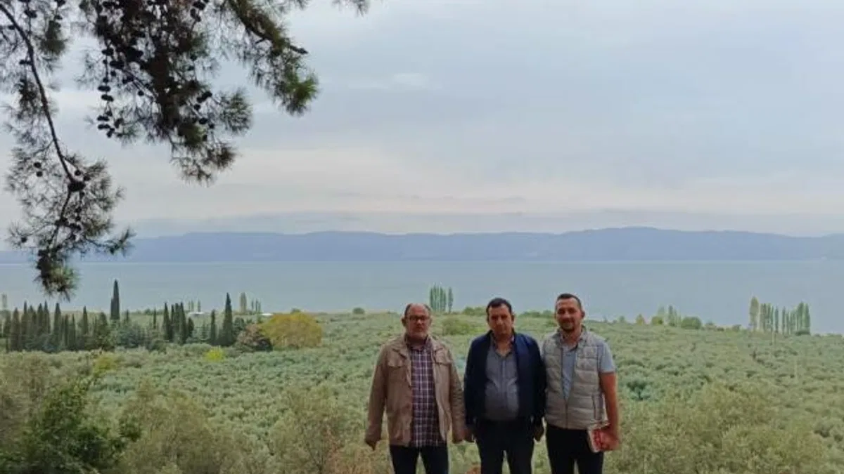 Marmarabirlik’ten 'anıt zeytin ağaçları'na özel marka vizyonu