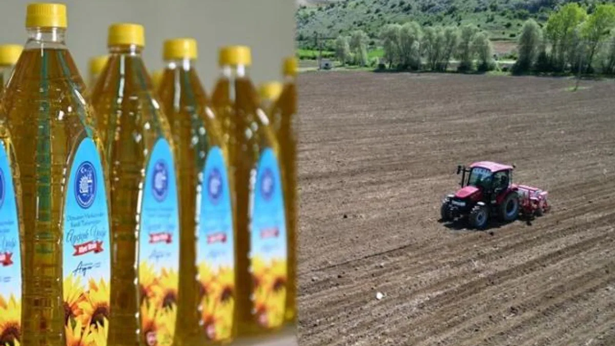 İhtiyaç sahiplerine ücretsiz ayçiçek yağı