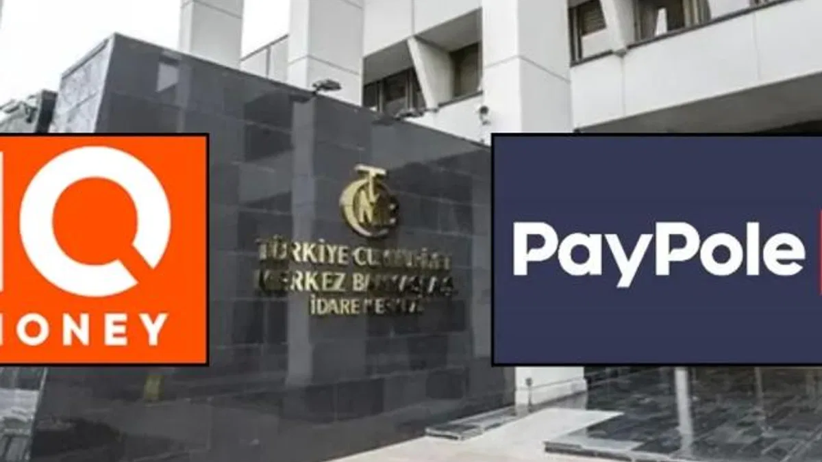 IQ Money ve Paypole'un faaliyet izinleri iptal edildi