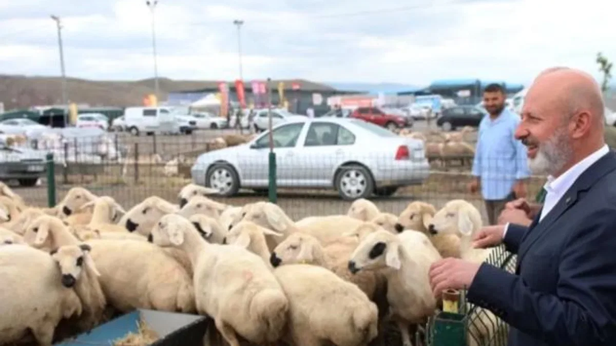 Kayseri Kocasinan'dan Türkiye'ye örnek 'kurban' ihalesi