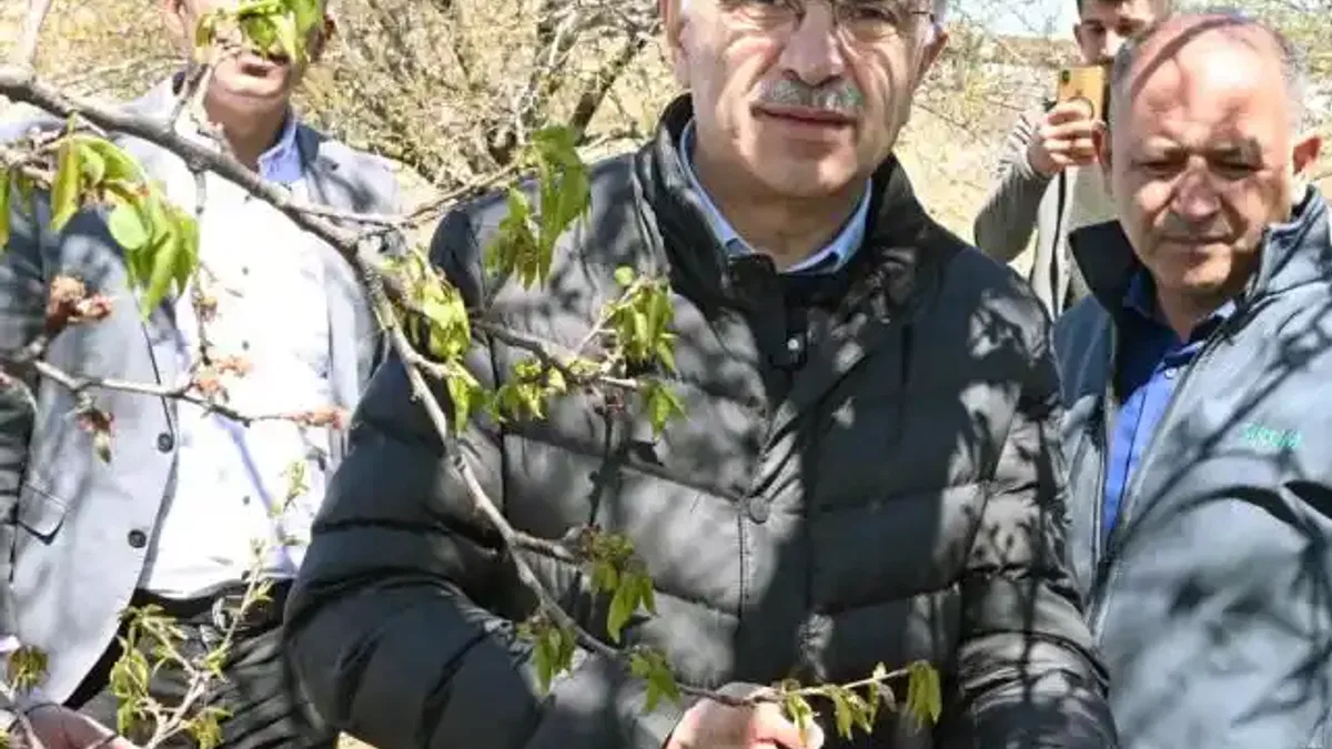 Malatya'da kar ve don mağduriyeti incelemesi