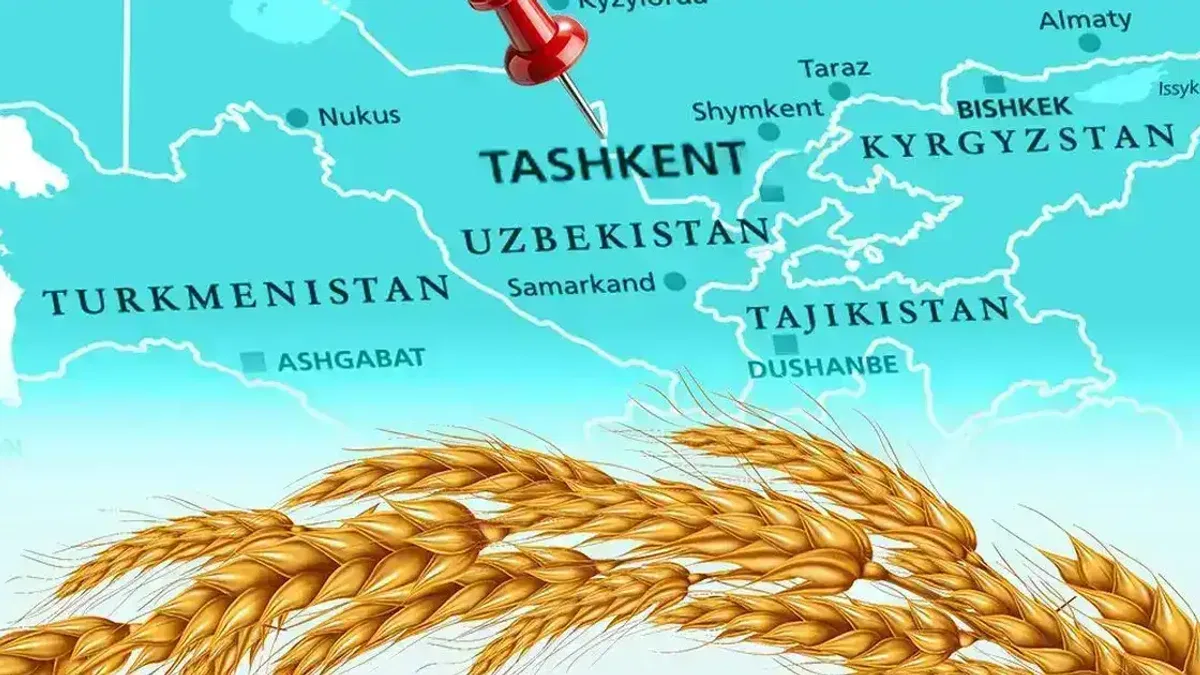 Türkiye un ihracatında 12. şampiyonluk hedefini koydu... Tahıl sektörü Taşkent'te buluşuyor