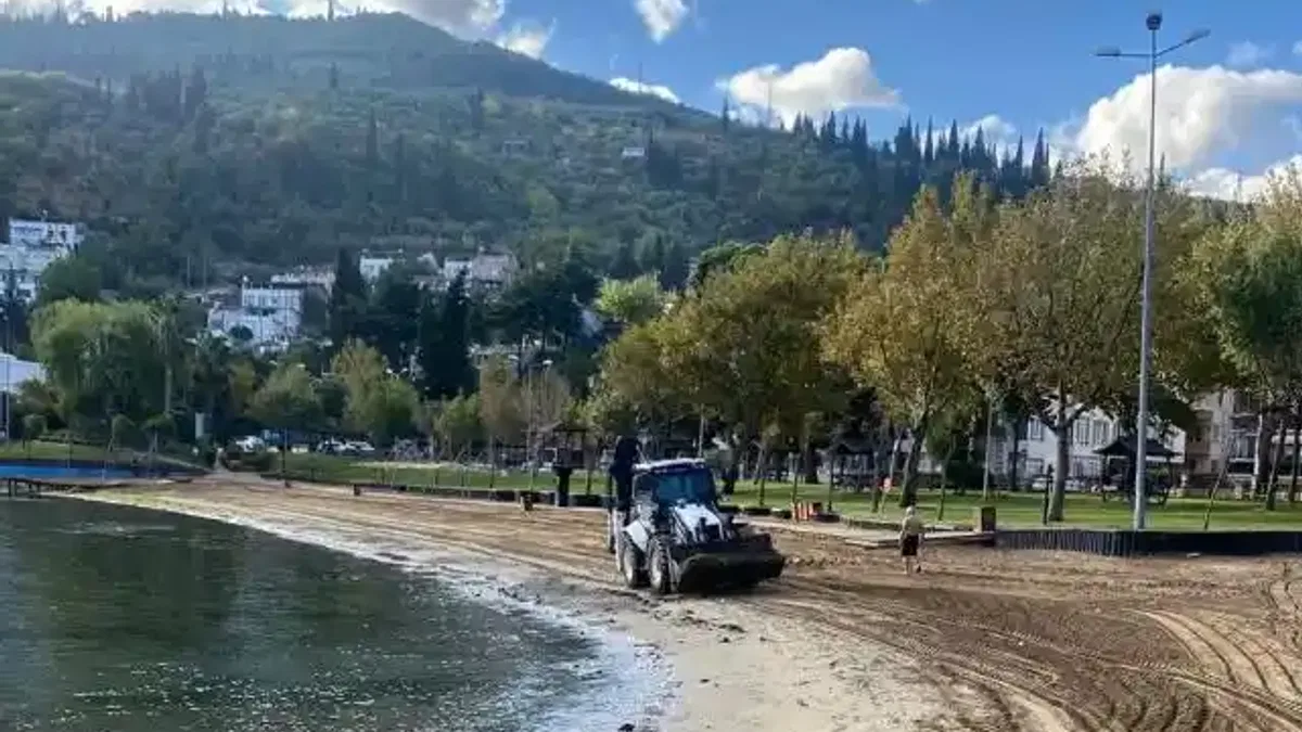 Kocaeli sahillerine Büyükşehir eliyle temiz sezon