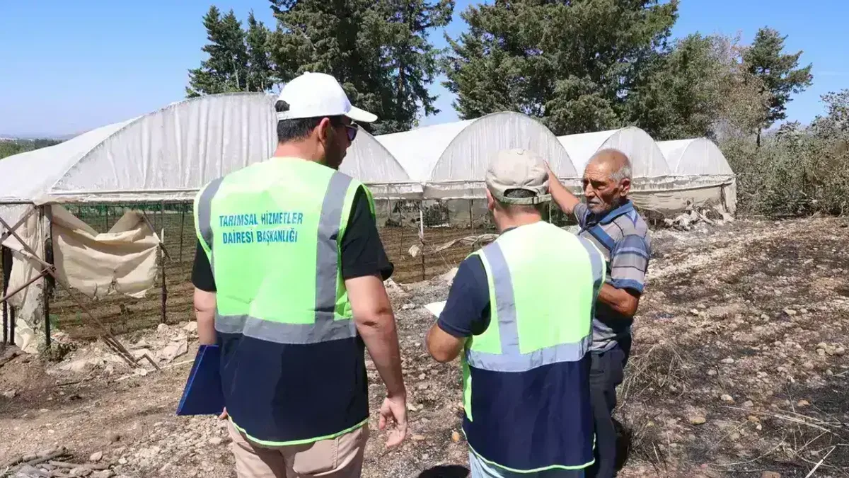 Antalya'da Büyükşehir ekipleri yangının izlerini silmek için sahada