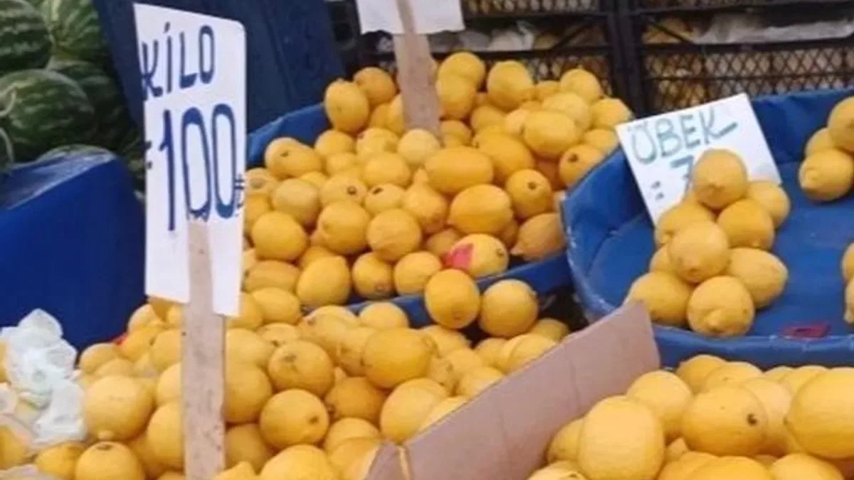 Limon üreticisinin sesine duyarsızlık fahiş fiyatlara neden oldu