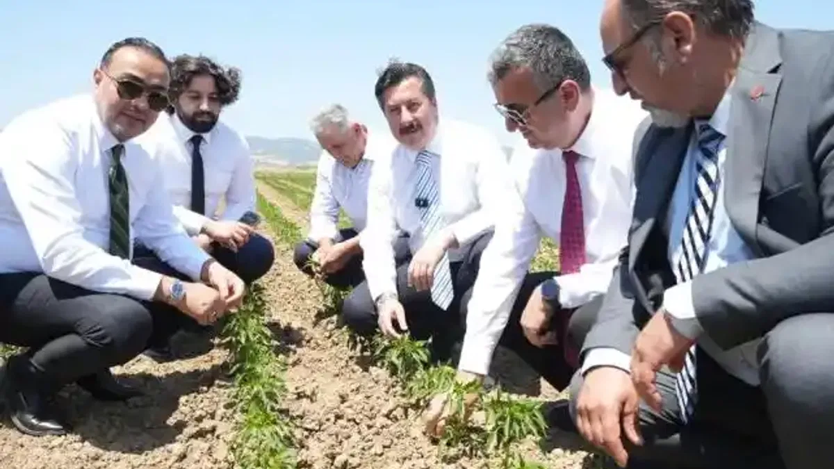 Bursa Yenişehir tarımı Afrika'ya açılıyor