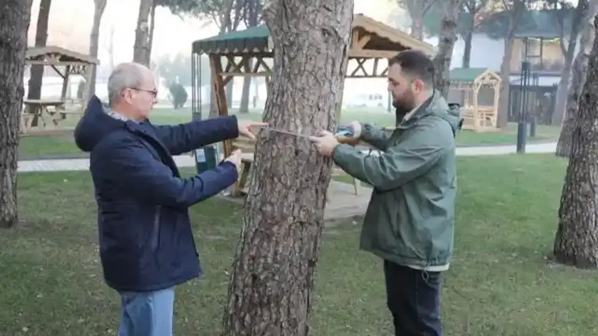 BTÜ’de orman envanterine katkı sağlayacak proje geliştiriliyor