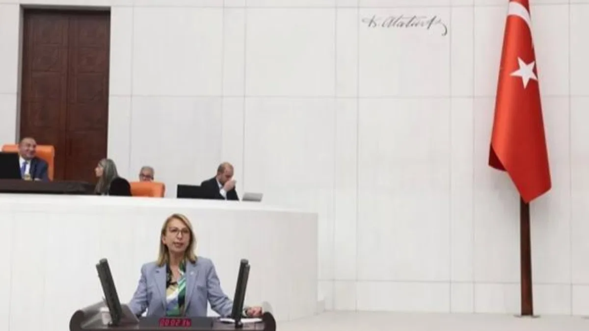 CHP'li vekilden bütçe eleştirisi