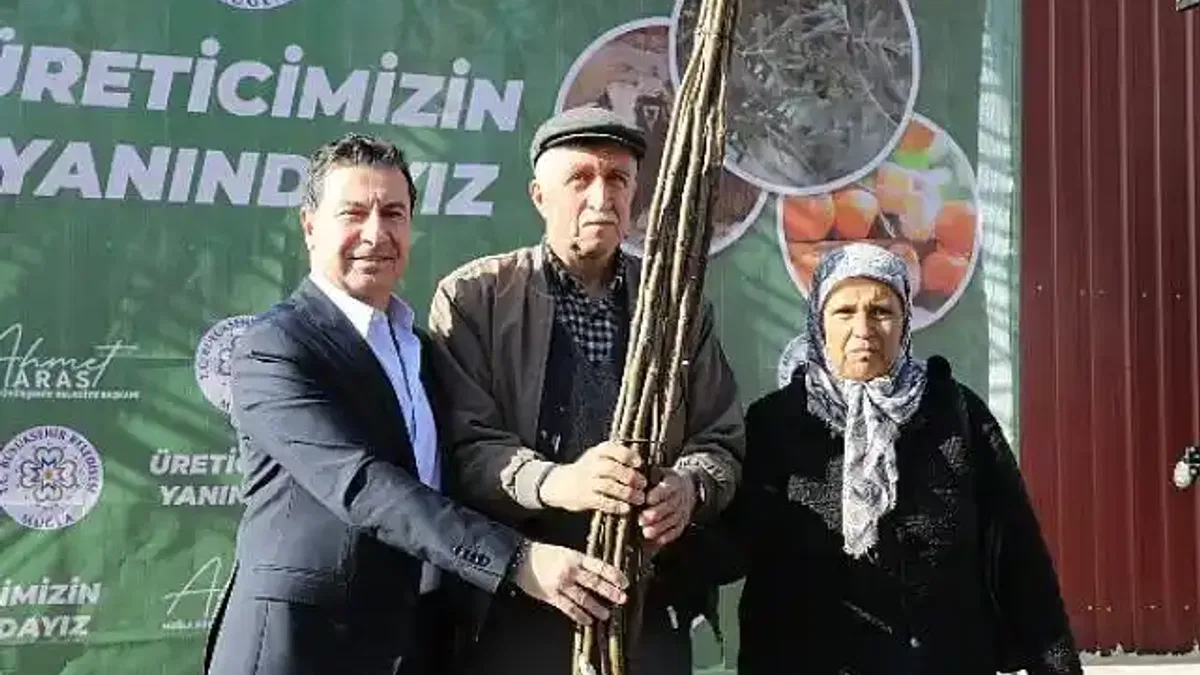 Her Kapıda Bir Fidan Projesiyle Yanan Alanlar Yeşerecek