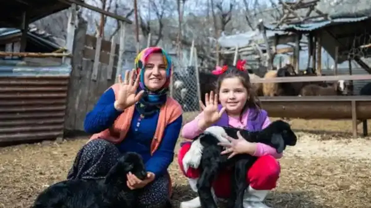300 yetiştiriciye 7 bin 500 küçükbaş hayvan desteği