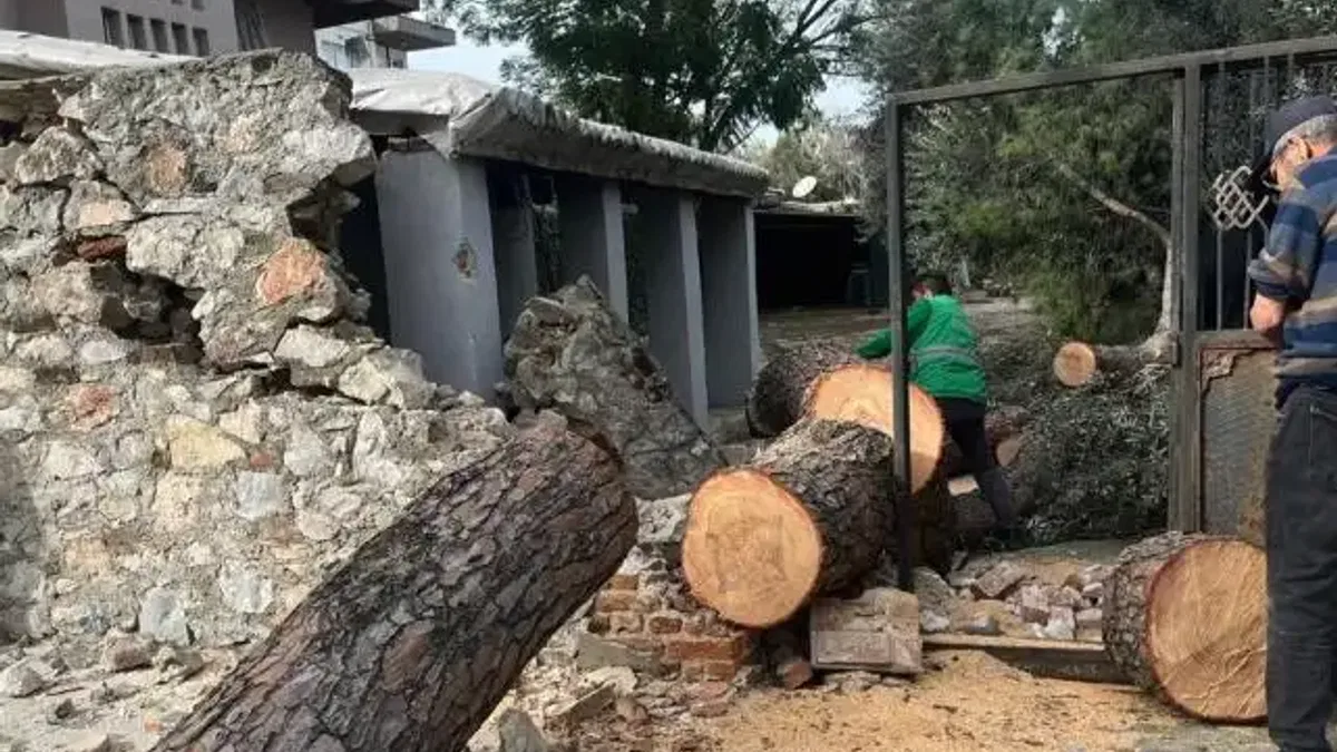 Muğla Milas'ta şiddetli fırtına sonrası anında müdahale
