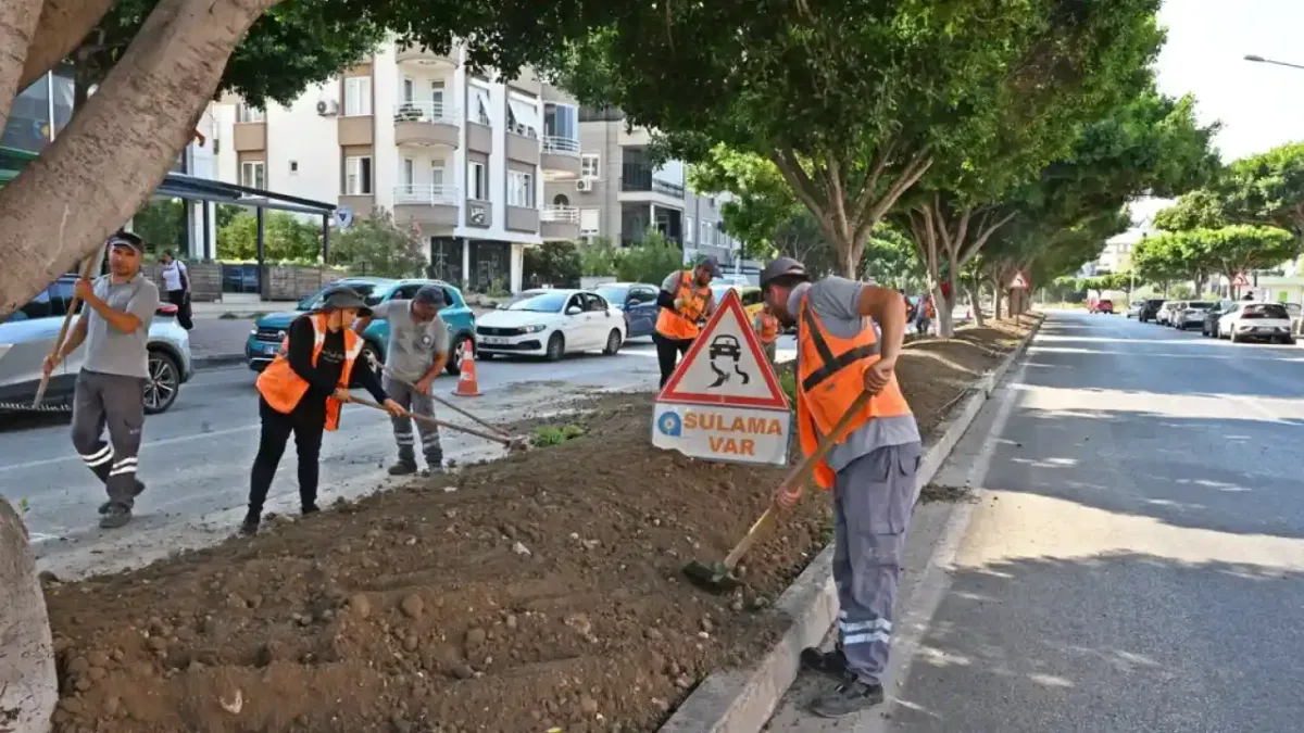 Antalya'da kurakçıl peyzajla yeşil dokunuş