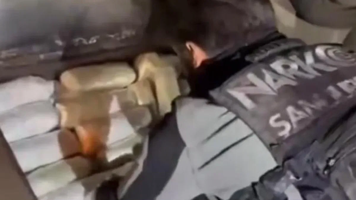 Şanlıurfa’da 20 kilogram skunk ele geçirildi