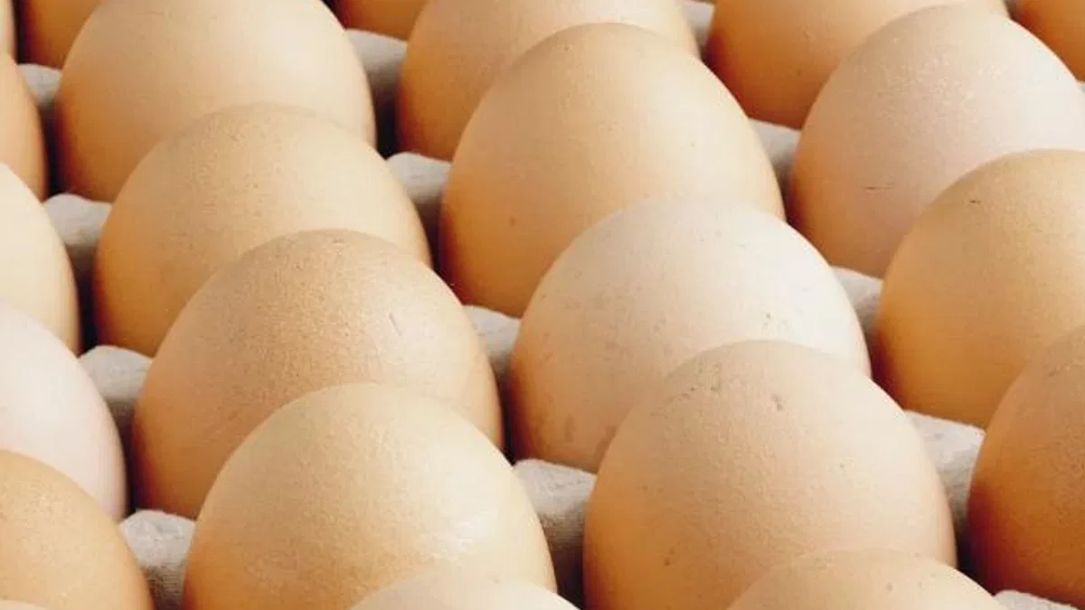A sınıfı yumurtalarda 'tüketim tarihi' zorunluluğu... Türk Gıda Kodeksi Yumurta Tebliği'nde değişiklik