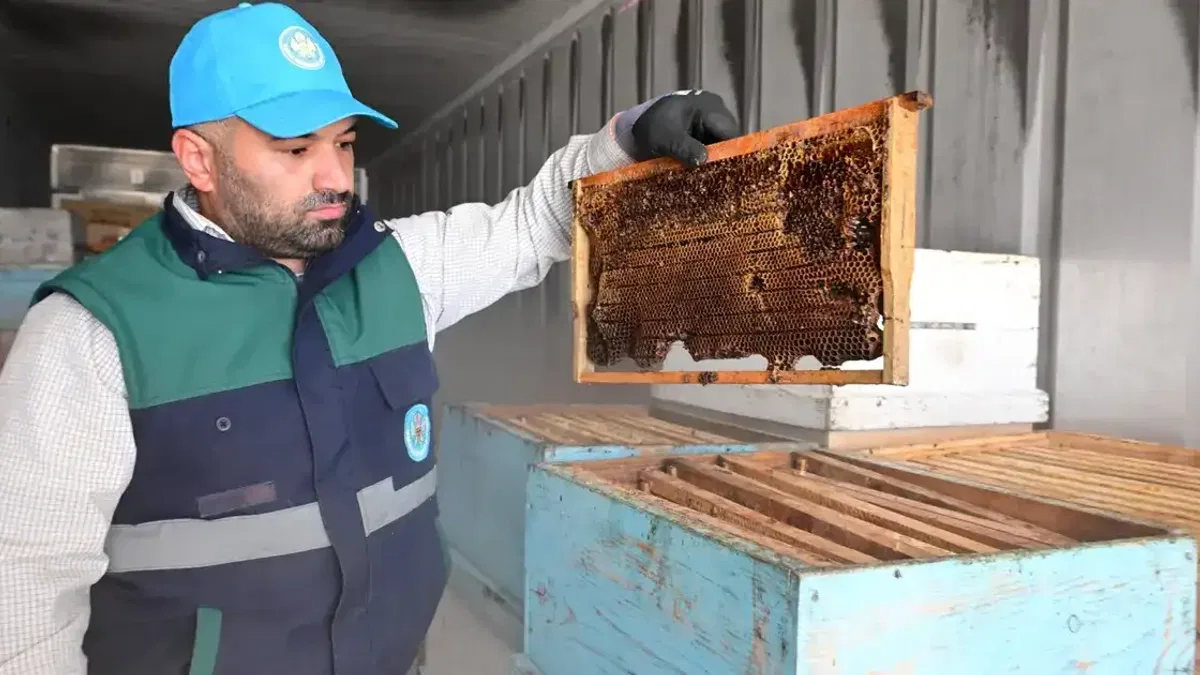 Manisa’da arıcıların peteklerine eksi 30 derecelik koruma