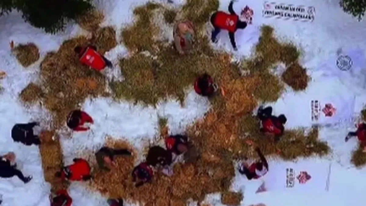 Ilgaz Dağı’na yüzlerce kilo yem bırakıldı