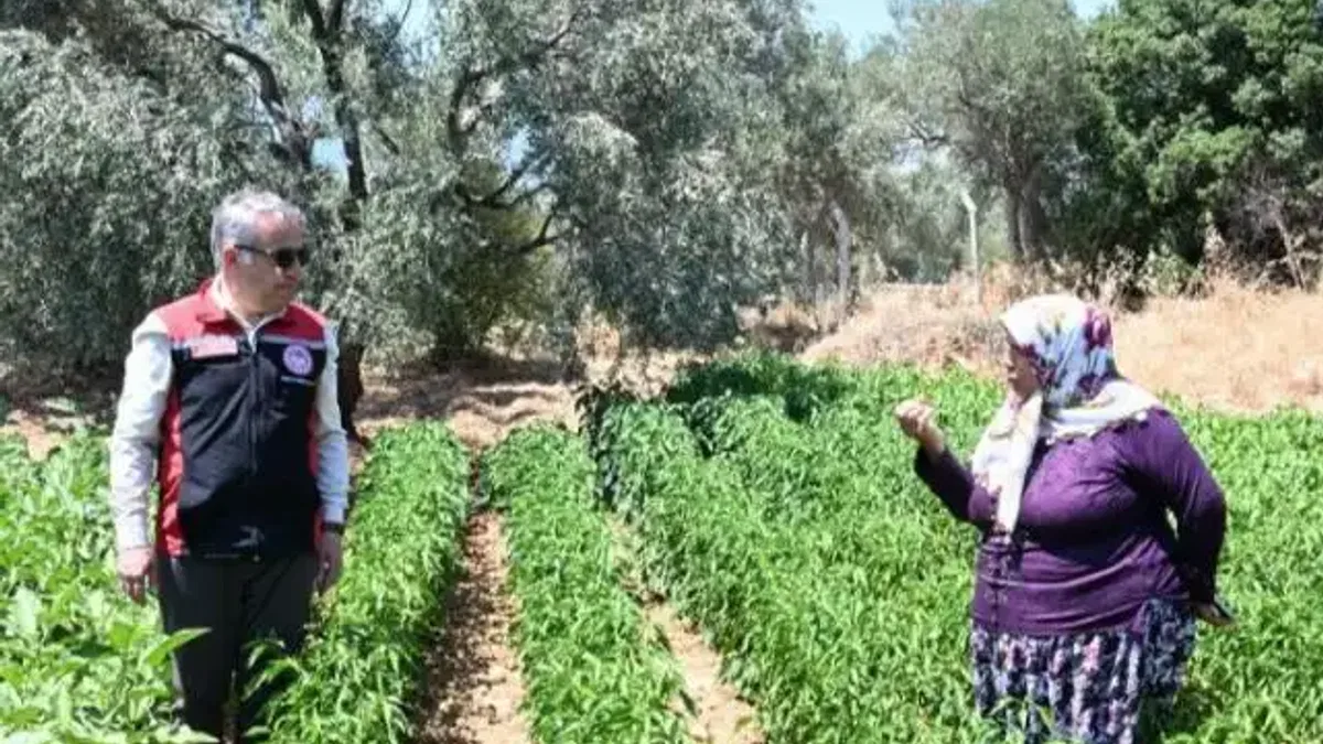 TAKE projesiyle İzmirli üreticiye destek atağı