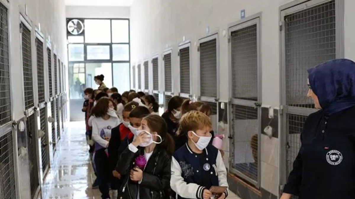 Sakarya'da can dostların yeni dünyasına hayran kaldılar