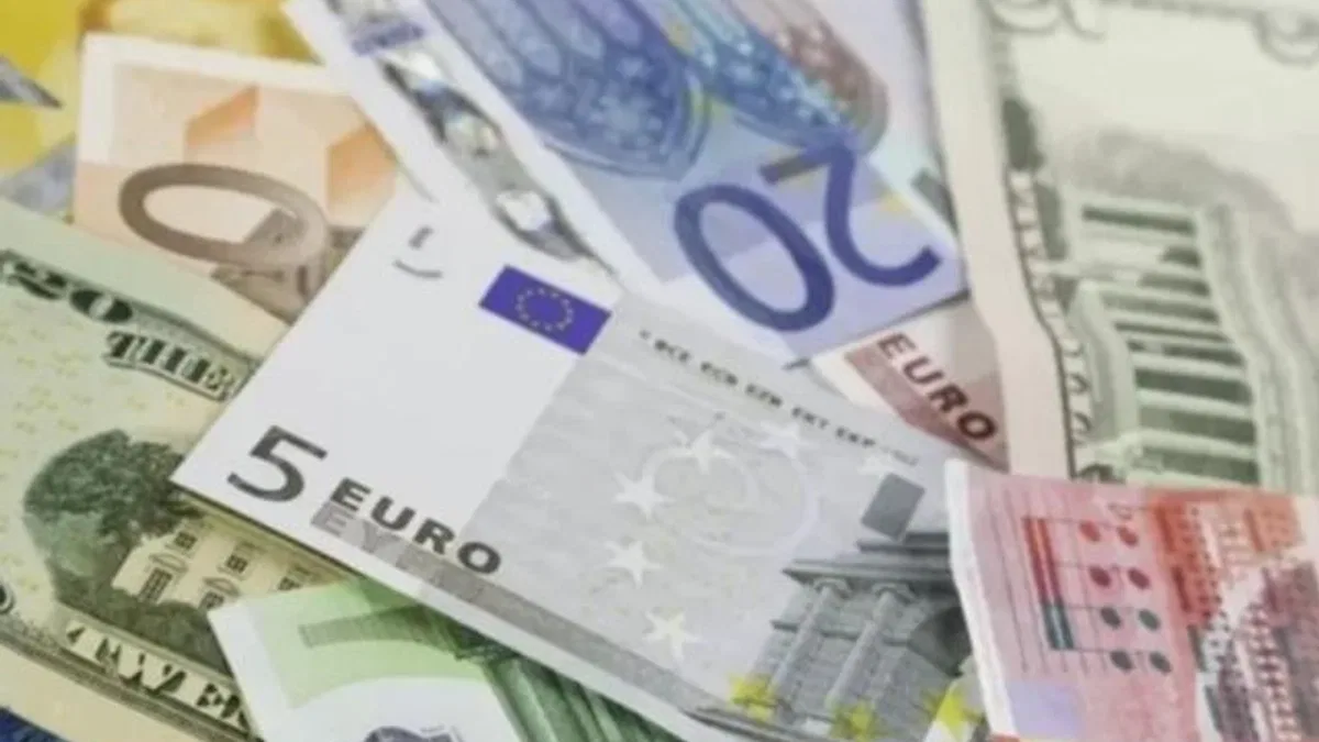 2024 yılına ilişkin esas kurlar 'Resmi'leşti