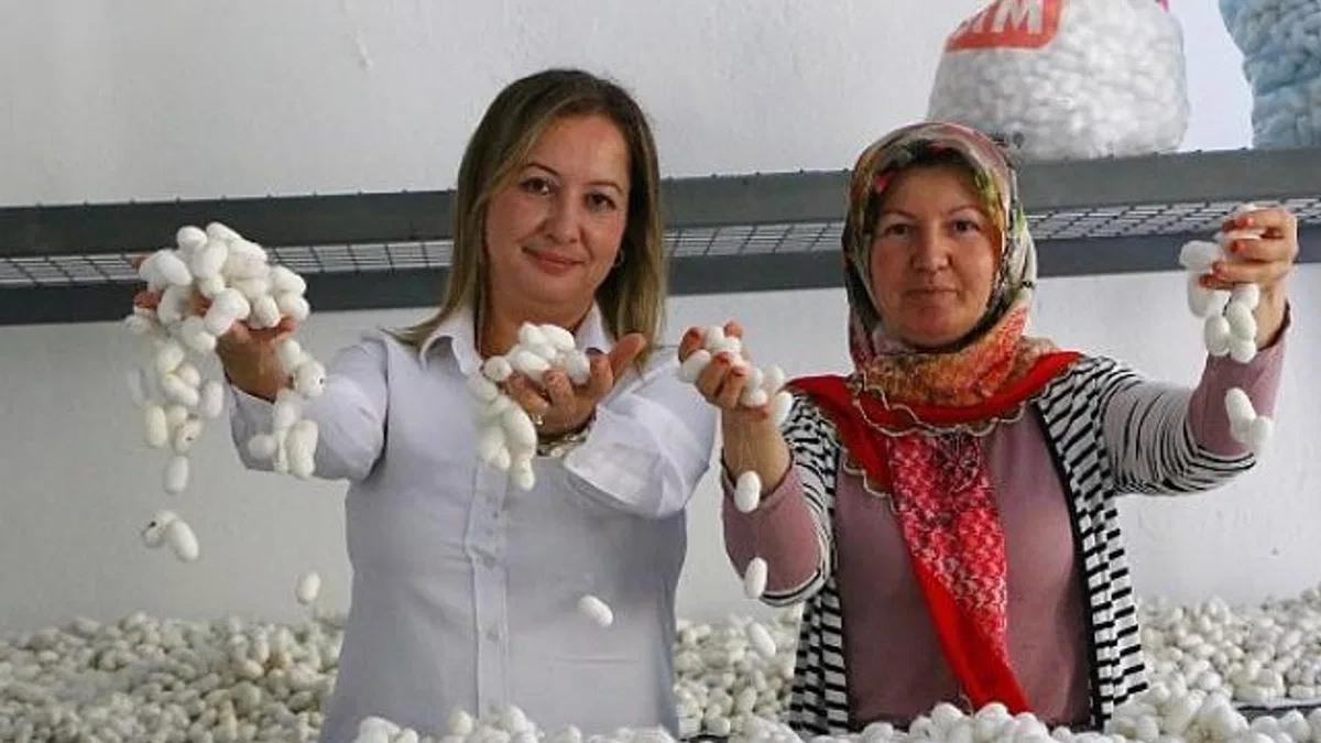 Sapadere İpek Evi'nde eğitim kursları başladı