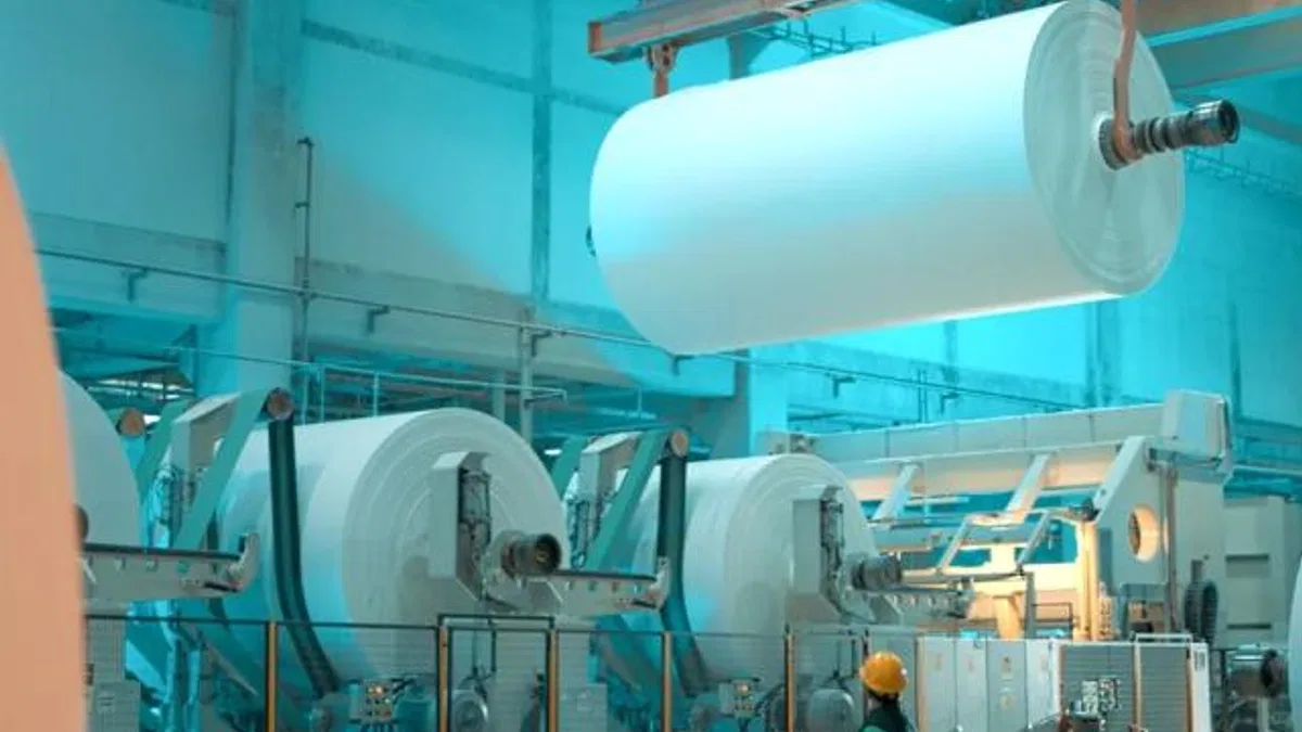 Lila Kağıt, 2025'i güçlü finansal performansla kapattı