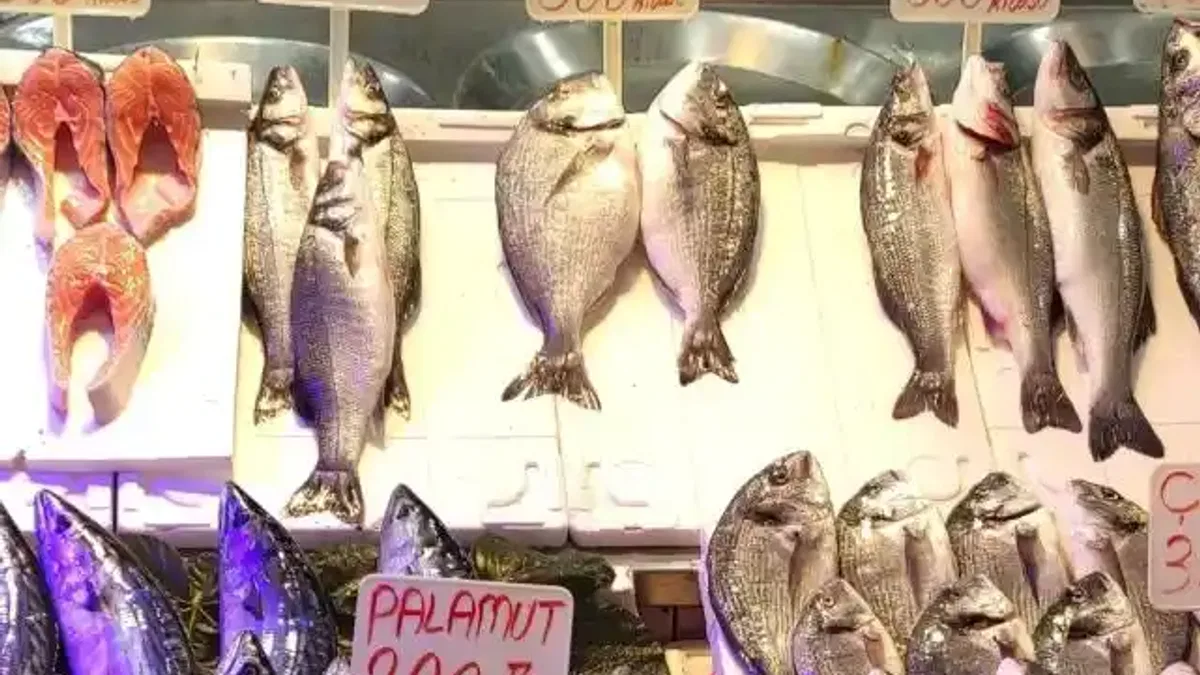 Havalar soğudu Bursa'da balık fiyatları fırladı