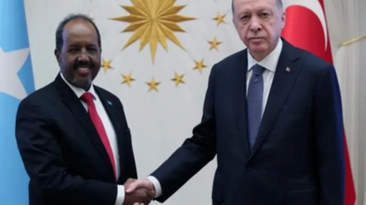 Cumhurbaşkanı Erdoğan, Somalili mevkidaşıyla görüştü