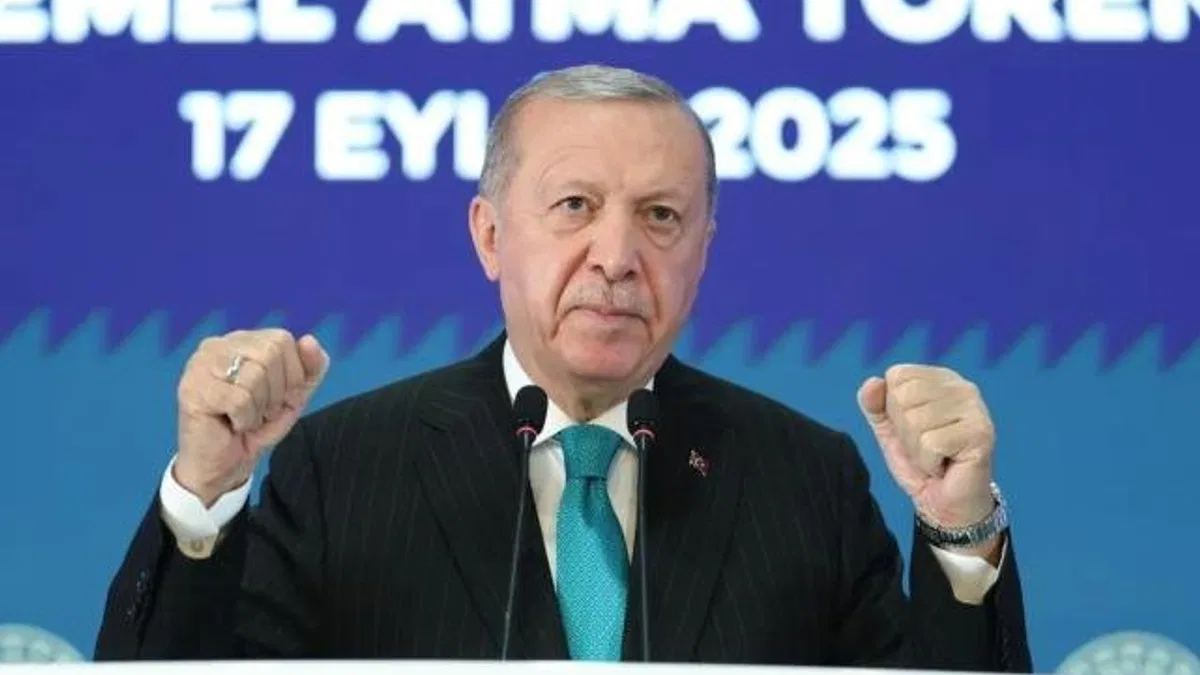 Cumhurbaşkanı Erdoğan: Türkiye, hadsizlikler karşısında asla susmaz!