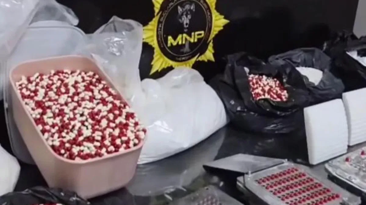 Mersin’de tonlarca sentetik ecza hammaddesi ele geçirildi