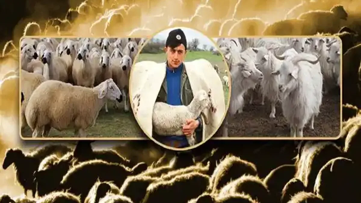 Halk elinde ıslaha 2,7 milyar TL destek