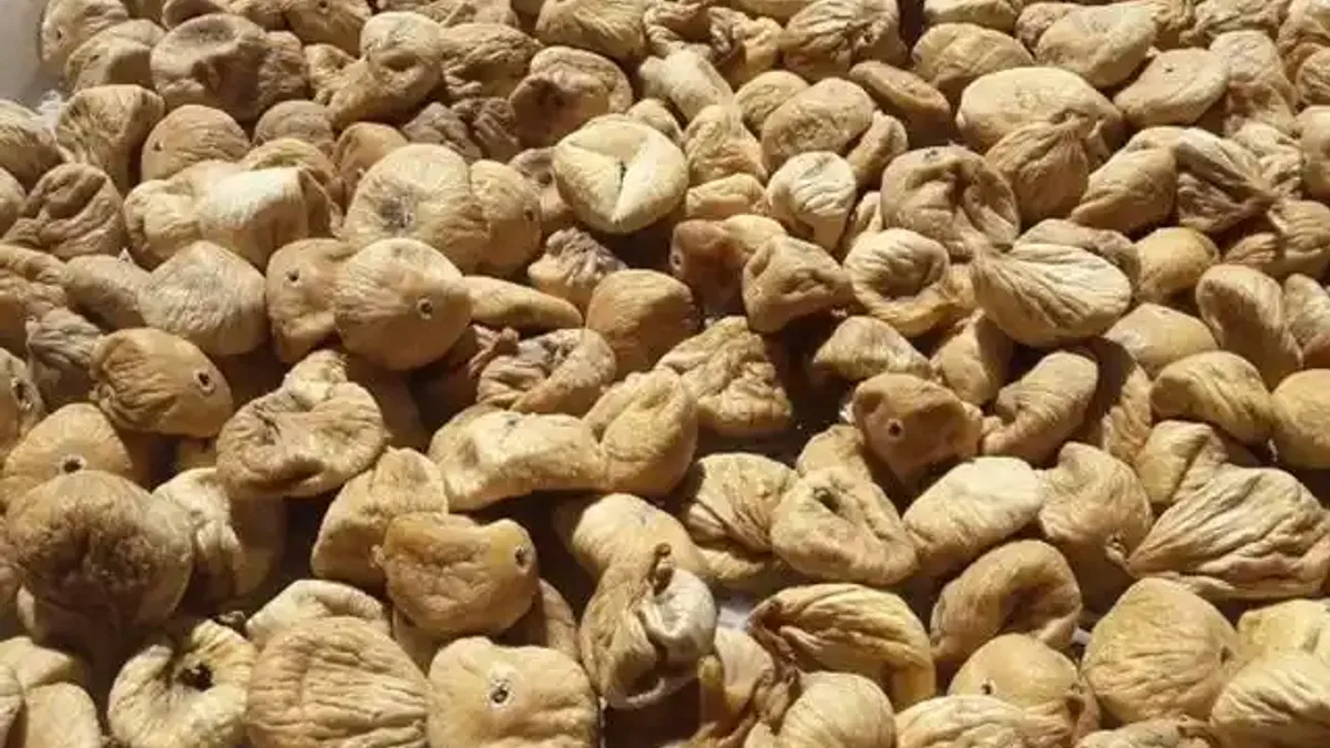 Kuru incirde üreticilere 19 bin kerevet dağıtıldı