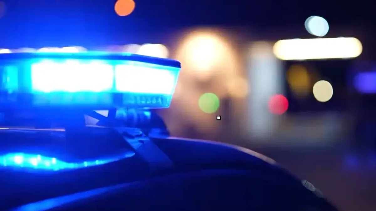 48 ilde yeni nesil suç örgütlerine operasyon: 1008 şüpheliye gözaltı