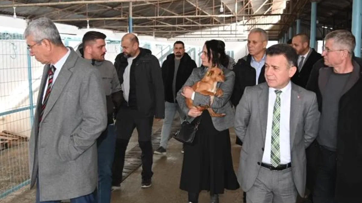 Manisa'da Sokak Hayvanları Komisyonu toplandı
