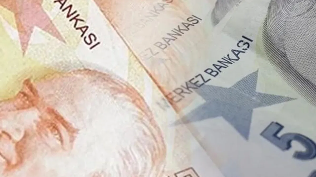 5 ve 50 TL'lik yeni banknotlar piyasada